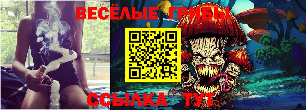 Псилоцибиновые грибы мухоморы  Вход с VPN  Псилоцибиновые грибы GOLDEN TEACHER  Котлас 