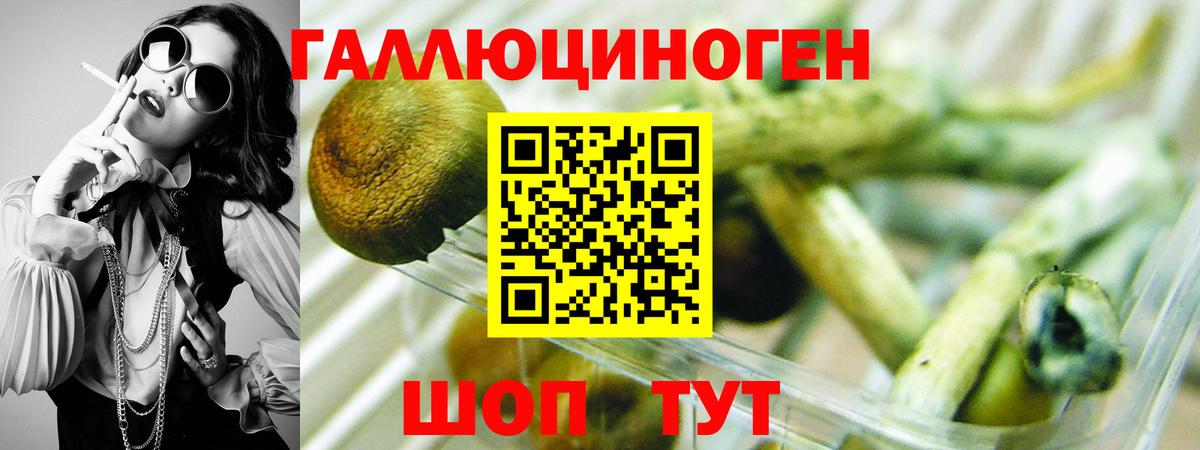 Псилоцибиновые грибы мухоморы Котлас